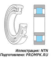 В подшипниках качения применяются тела качения различных форм - с короткими цилиндрическими роликами (Иллюстрация: NTN)