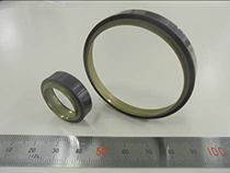 Радиальный тип “Многодорожечного магнитного кольца”